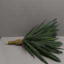 24" Tall Lifelike Large Artificial Agave Sisalana Succulent Plant for Indoor and Outdoor Home Dcor (Green)