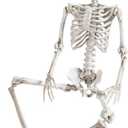 NEROSUN 5.4FT Halloween Skeletons Decoration, Posable Life Full Size Skeleton with Dog Skeleton, Realistic Plastic Human Bones for Halloween Props Haunted House Graveyard Party Decor