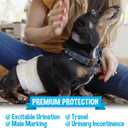 Bodhi Dog Disposable Male Dog Diapers - Super Absorbent, Leak-Proof Pee Wraps - Adjustable Fit, Comfortable Design, Advanced Moisture Control, and Wetness Indicator - Medium (20 Count)