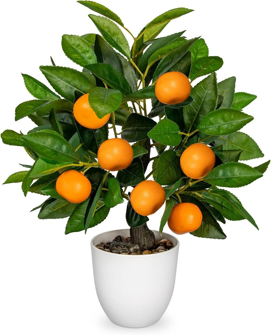 Artificial Potted Plants 16.1 inches Fake Orange Tree Artificial Citrus Fruit Plant with White Pot Faux Plants Indoor for Home,Office, Living Room Table, Desk Artificial Potted Plants 16.1 inches Fake Orange Tree Artificial Citrus Fruit Plant with White Pot Faux Plants Indoor for Home,Office, Living Room Table, Desk