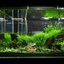 POPETPOP Simulated Crocodile Aquarium Ornament 5.51 Inch Resin Alligator Fish Tank Decor Safe Durable Bubbling Aquatic Decoration for Freshwater Saltwater Tanks