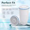 Water Filter Replacement Compatible with Zero Pitcher and Dispenser ZR-001 ZR-017 ZR-004 ZP-006 ZD-013 ZS-008, Multi-Stage Filter System, Reduce Lead, Chromium, and PFOA/PFOS, Pack of 4, By DESENRUIS