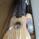 Everjoys Soprano Ukulele Beginner Kit 21 Inch w/Free Online Lesson Gig Bag Tuner Picks Strap, Fast to Learn (Rainbow String)