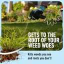 Roundup for Lawns Crabgrass Destroyer2, Tough Weed Killer, Kills Crabgrass, Foxtail, Goosegrass, Ready-to-Use, 64 oz.