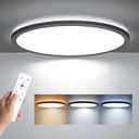 BLNAN LED Flush Mount Ceiling Light Fixture with Remote Control, 15.4 Inch 3000K-6500K Dimmable Round Low Profile Ceiling Lamp for Living Room Bedroom Kitchen, 15.4inch 36w