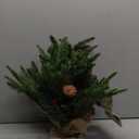 Kadunmina 2ft Pre-lit Table Top Christmas Tree, Small Artificial Xmas Tree with 50 LED Lights/ 177 PE&PVC Tips/ Berries&Pinecones, 24 Inch Mini Tree with Burlap Base for Holiday Indoor Decor, 8 Modes