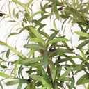 LYERSE Olive Trees Artificial Indoor - Faux Olive Tree 6ft - Fake Olive Tree with Olive Branches and Lifelike Fruits - Artificial Olive Tree for Modern Home Office House Living Room Decor Indoor