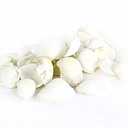 Super Z Outlet Sea Shells Mixed Beach Seashells - Various Sizes up to 2" Shells -Bag of Approx. 50 Seashells