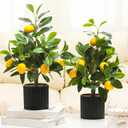Giegxin 2 Pcs Artificial Lemon Tree 15.7 Inches Fake Artificial Potted Plants Faux Lemon Citrus Tree with Pot Faux Plants Indoor for Home Kitchen Office Living Room Table Desk (Black Pot)
