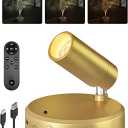 EZVALO LED Spotlight Indoor, 5500mAh Rechargeable Battery Picture Lights, Wireless Mini Art Accent Spot Lights with Remote, Uplighting Indoor for Plants Display Painting Artwork Portrait (1Pack-Gold)