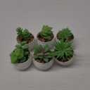 Der Rose Set of 6 Succulents Plants Artificial in Pots Small Fake Plants for Bedroom Aesthetic Living Room Office Shelf Bathroom Decor (Green)
