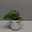 Fake Flower Plant Pot