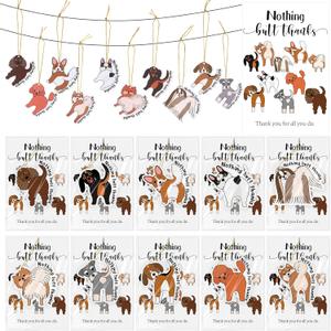 40 Sets Veterinary Appreciation Day Gift Dog Thank You Scented Ornaments and Cards Vet Appreciation Gifts for Veterinary Assistant Vet Med Pet Lover