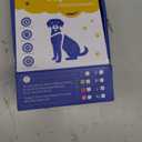 ChalkLit Light Up Dog Harness, No Pull Led Dog Harness Glow-in-The-Dark for Night Walking, USB Rechargeable Lighted Safety Vest for Medium Large Dogs, Adjustable Soft Mesh Fully Illuminated(Green, L)