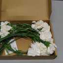 15PCS White Carnations Artificial Flowers White Fake Flowers Silk Carnations White Flowers for Wedding Centerpieces Bridal Shower for Dining Table Home Party Birthday Decor (White)