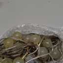 Halloween Decorations Solar Lights,Solar Light Outdoor Waterproof with 8 Lighting Modes 7M/ 24 Ft,50 LED Solar Outdoor String Lights for Tree,Garden,Patio,Party,Festival (Blue)