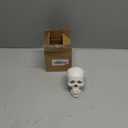 Mini Skull Model - Small Size Human Medical Anatomical Adult Head Bone for Education 3 Part Anatomical Skull with Removable Skull Cap and Moving Jaw