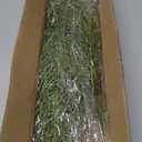 Alpurple 25 PCS Artificial Pine Branches-13.7 Inches Fake Greenery Plants Pine Sprigs-Faux Pine Leaves Picks for DIY Garland Crafts Christmas Embellishing and Home Garden Decoration (25PCS)