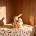 Cute Bunny Couple Figurine Decor, Romantic Rabbit Statue for Spring Home Decor, Easter Bunny Tabletop Decoration for Living Room Shelf Desk, Bunny Couple Gift for Couples