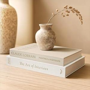 Vine Creations Decorative Books - Set of 2 Linen Hardcover Boxes with Storage - Aesthetic Fake Books for Decoration for Home, Shelf, Bookshelf Decor, Coffee Table Decor, as Storage or Keepsake Box