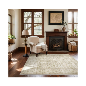 Machine Washable Throw Rugs for Entryway: Door Mat Indoor Entrance 4x6 Rug Small Area Rug Non Slip Low Pile Soft Kitchen Rugs for Front Door Indoor Entrance Entry Kids Room