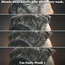 Just for Men Control GX Grey Reducing Shampoo, Gradual Hair Color with Keratin for Stronger Thicker and Healthier Looking Hair, 4 Fl Oz - Pack of 1 (Packaging May Vary)