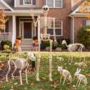 JOYIN 5 FT Halloween Skeleton Decor with Stand, Posable Life Size Skeleton, Full Body Realistic Bones with Movable Joints, Giant Skeletons Halloween Decorations for Indoor Outdoor Spooky Scene Decor