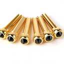 6Pcs Guitar Bridge Pins, Brass Pin Acoustic Guitar Strings Nail Pegs Fixed Cone, Replacement Parts for Acoustic Folk Guitar (Black)