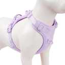 No Pull Dog Harness, Puppy Vest with Front Clip for Small Medium Large Sized Dog (Light Purple, XS) (XS(Neck:11.8-16.5", Chest:14.2-19.7"))