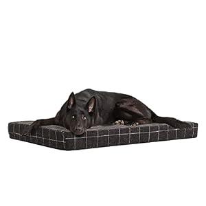 Barkbox Orthopedic Dog Bed | Comfortable Memory Foam Mattress for Joint Relief | Head and Neck Support Waterproof with Non Skid Bottom | Calming Durable Bed with Washable Cover | XL, Black Plaid