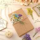Woanger 100 Pcs Mini Dried Babys Breath Flowers Bulk for Resin Art DIY Craft Dried Natural Gypsophila Branches for Wedding Card Making, Gifts Wrap, Pressed Baby's Breath Flowers Bouquet, 5 Colors