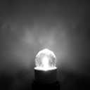 Lxcom Lighting G9 LED Bulb 2W Dimmable Globe Crystal LED Light Bulbs 20W Equivalent G9 Base COB Light Bulbs Daylight White 6500K 150LM 110V for Home Appliance, 4 Pack