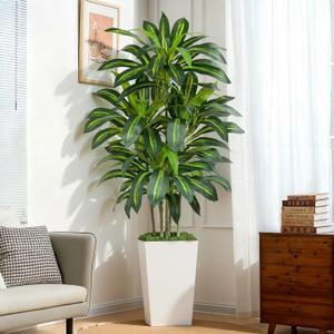 6FT Artificial Dracaena Tree - High-Density Foliage Fake Plant with White Tall Planter - Faux Yucca Floor Plant for Home Office Decor Indoor