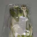 Olive Green Birthday Background Banner - Gender-neutral baby baptism, woodland first birthday decoration, ivory, gold ribbon garland decoration and birthday decoration, photo booth photo props. (Sage)