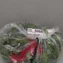 Dingion Small Norfolk Pine Christmas Wreath 11.8 in Christmas Kitchen Cabinet Norfolk Pine Wreath Mini for Front Door Artificial Farmhouse Rustic Xmas Decor for Window Fireplace