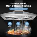 24 Inch Range Hood, Wall Mount Vent Hood in Stainless Steel with Ducted/Ductless Convertible Duct, 3 Speed Exhaust Fan, Energy Saving LED Light, Push Button Control, 2 Pcs Baffle Filters
