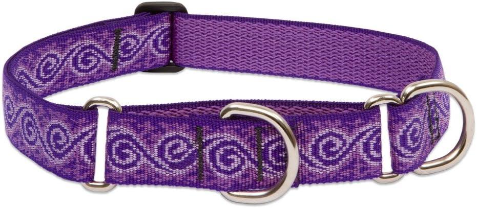 LupinePet Originals 1" Jelly Roll 15-22" Martingale Collar for Medium and Larger Dogs
