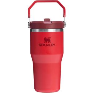 STANLEY IceFlow 2.0 Flip Straw Tumbler with Handle 20 oz | Twist On Lid and Flip Up Straw | Leakproof Water Bottle | Insulated Stainless Steel | BPA-Free | Chili Red