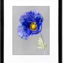 VNVNK 20x24 Frame Black, Perfect for 20x24 Inch Picture without Mat or 16x20 Inch Picture with Mat, Home Wall Decor Picture Frame-1 PCS