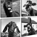 Black and White Wall Art Animal Wall Decor Horse Donkey Sheep Cow Canvas Pictures Prints Funny Decor Posters for Mens Bedroom Office Farmhouse Decoration Stretched Framed Ready to Hang 1212 inch4