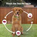 K9 Advantix II Medium Dog Vet-Recommended Flea, Tick & Mosquito Treatment & Prevention | Dogs 11-20 lbs. | 6-Mo Supply