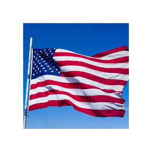 Anndones American Flag 3x5 Ft Outdoor Heavy Duty,100% in USA Longest Lasting American Flags For Outside 3x5,American Flag 3x5 Embroidered Stars,Us Flags 3x5 Outdoor Best In Usa High Wind Stitched Stripes,Outdoor 3x5 American Flag Nylon,Embroidered Ou