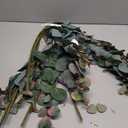 Pampas Grass Decor,Eucalyptus Dried Flowers Bouquet for Wedding Floral Arrangements Table,Home,Rustic,Farmhouse Decor