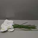 Hanaive 20 Pcs Artificial Anthurium Flowers, White, 23.6 Inch
Faux Anthurium Flowers for Wedding Vase DIY Bouquets Table Centerpiece Arrangements Bridal Shower Party Home Decor