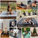 Elevated Dog Bed Raised Outdoor Dog Cot for Large Dogs, Installation Requires No Tools, Frame with Washable Cooling Breathable Mesh Anti-Slip Feet, Indoor Pet Bed, Black, 43.3 Inches (L-43.3"L×31.9"W×7.9"Th)