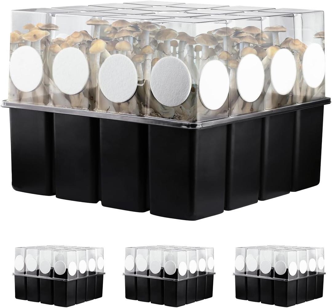 3 Set Mushroom Grow Kit Monotub with Filter Disks 43.5 Quart Vegetable Planting Tray Mini Greenhouse Germination Box for Seeds Growing Starting