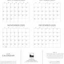 3 x 2026 Panada Wall Calendar | 12" x 24" Open | Animal Photography Thick & Sturdy Paper for Organizing & Planning | Office Kitchen Decor or Gift | Pacific Waters Press (Pandas)