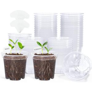 homenote Clear Nursery Pots for Plants,3 Inch Plant Pot for Planting Plastic Seedling with Drainage Holes Seed Starter Flower High Transparency with 20 Labels (60 Pack)