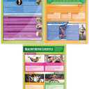 Health, Fitness & Well-Being Class Posters, Set of 5, EXTRA LARGE 33"x23.5" | Gloss Paper, PE Middle & High School Class Decoration, Wall Charts by Daydream Education