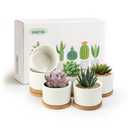 ZOUTOG Succulent Pots 3.1 Inch,6 Pack Succulent Planters,Small Pots for Plants with Drainage and Tray,White Ceramic Flower Planters for Indoor Plants,Home,Office,Desk